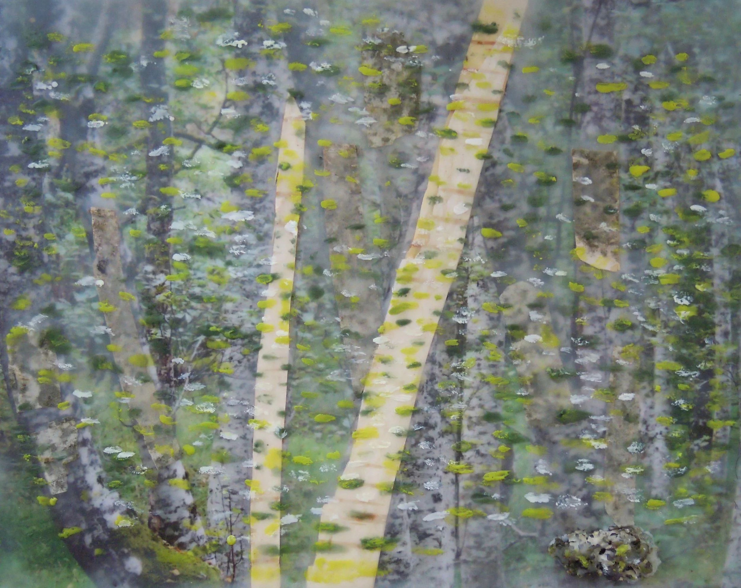 "Birches" (encaustic painting), by Nickerson Miles.