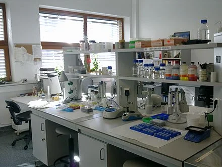 lab.jpg