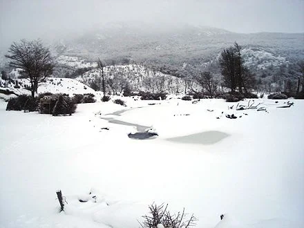 winter.jpg