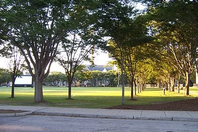 By the URI Quad.