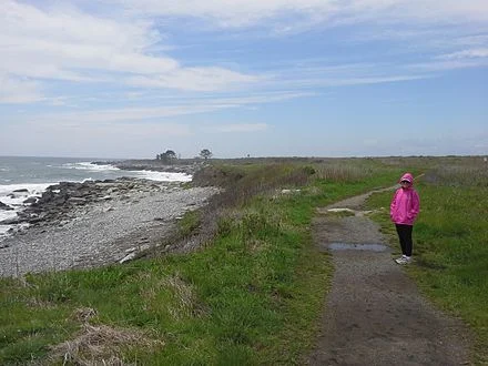 Here at the Sachuest Point National Wildlife Refuge, in Middletown, R.I., the Nature Conservancy and the U.S. Fish &amp; Wildlife Service are working to restore and strengthen salt-marsh habitat as the rising sea level poses an intensifying challeng…