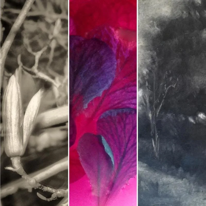 Artists' personal scenery