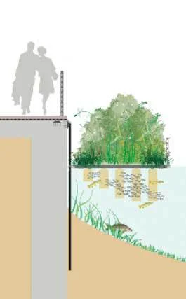Using Biomatrix river-cleaning system.