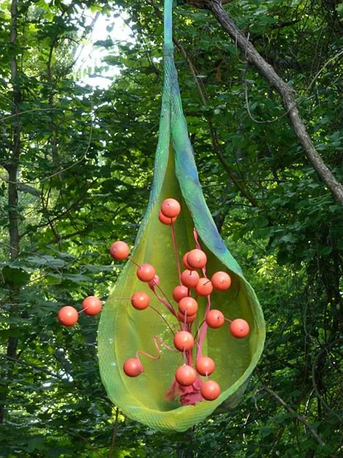 "Fruit of Fancy,'' by Phillip Marshall, in "The Flying Horse Outdoor Sculpture Exhibit,'' at the Pingree School, South Hamilton, Mass., Sept. 1-Nov. 4.&nbsp; (South Hamilton is an affluent community on the North Shore.) The organizers say that over …