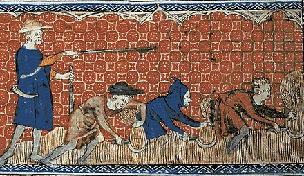 Depiction of harvesting in the August calendar page of the Queen Mary Psalter (fol. 78v), ca. 1310.