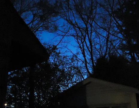 464px-Deep_blue_sky_in_twilight_with_trees_and_garage.JPG