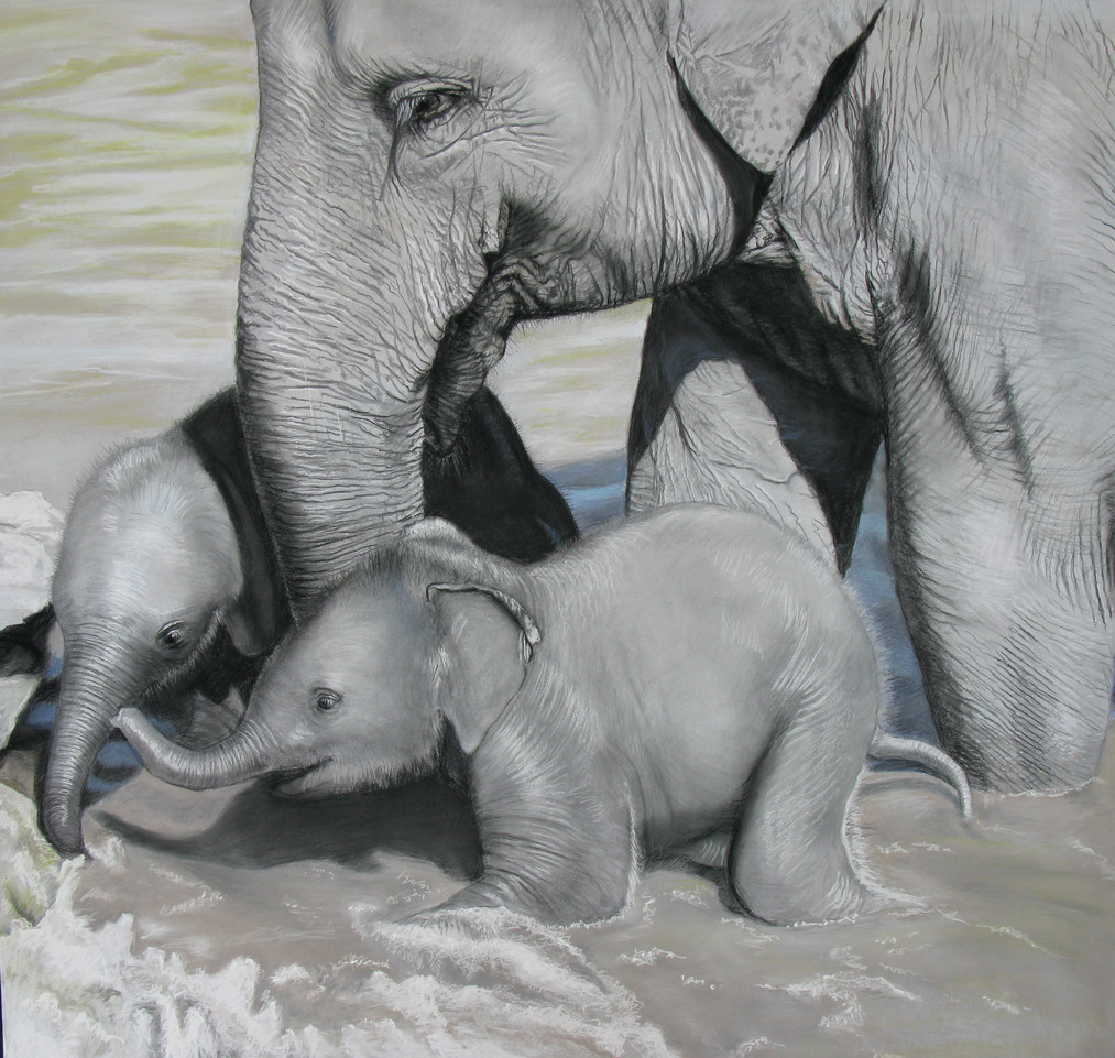 From Patricia Hansen’s show “A Memory of Elephants,’’ also at ArtProv Gallery (charcoal and pastel on paper). Both connected shows, which run through Nov. 9, look at the consequences of our interactions and interdependency with animals. Art meets conservation. The gallery says: “‘Urban Wildlife: Learning to Co-Exist’ is staged in collaboration with Creature Conserve ( creatureconserve.com ), run by Dr. Lucy Spelman, whose aim is to bring artists and scientists together to foster informed and sustained support for animal conservation. The exhibit, which features works by 40 artists, explores the lives of wild animals in urban areas and the human responses to this shared territory. The goal of the show is to encourage the viewing public to take an active role in healthy co-existence with urban animals. Dr. Spelman will also lead a discussion titled ‘Art Can Save a Panda’ at the gallery on Nov. 7 from 6 to 8 p.m. ‘‘‘A Memory of Elephants’ is a mother/child elephant series evolved from a journey in northern Thailand, where Ms. Hansen spent time with former working elephants, now rescued, learning to care for them and developing a bond and mutual trust in the process. Babies of different ages were present as well and the tender mother/child relationship was a joyous, life-affirming thing to witness. Upon her return to the U.S., Ms. Hansen found that the elephants has become a metaphor for her of our relationship to the earth, prompting her to reflect more deeply about the issues of our co-existence and how we need to live now – respectful in a sustainable world.’’
