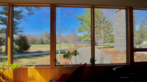 View from the library.