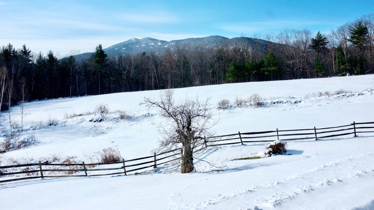 snow1.jpeg