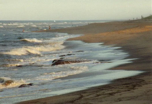 On Nauset Beach.