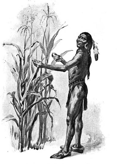 The Wampanoag chief Squanto helped teach the Plymouth Colony how to grow corn.