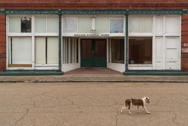 “Mississippi 640,’’ photo by Alan Strassman, in his show “Remembering Emmett Till: Mississippi Delta - Back Roads and Small Towns,’’ at Galatea Fine Art, Boston, Jan. 2-27.