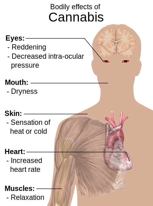 Chris Powell: On pot, Conn. and Mass. engage in federal-law nullification