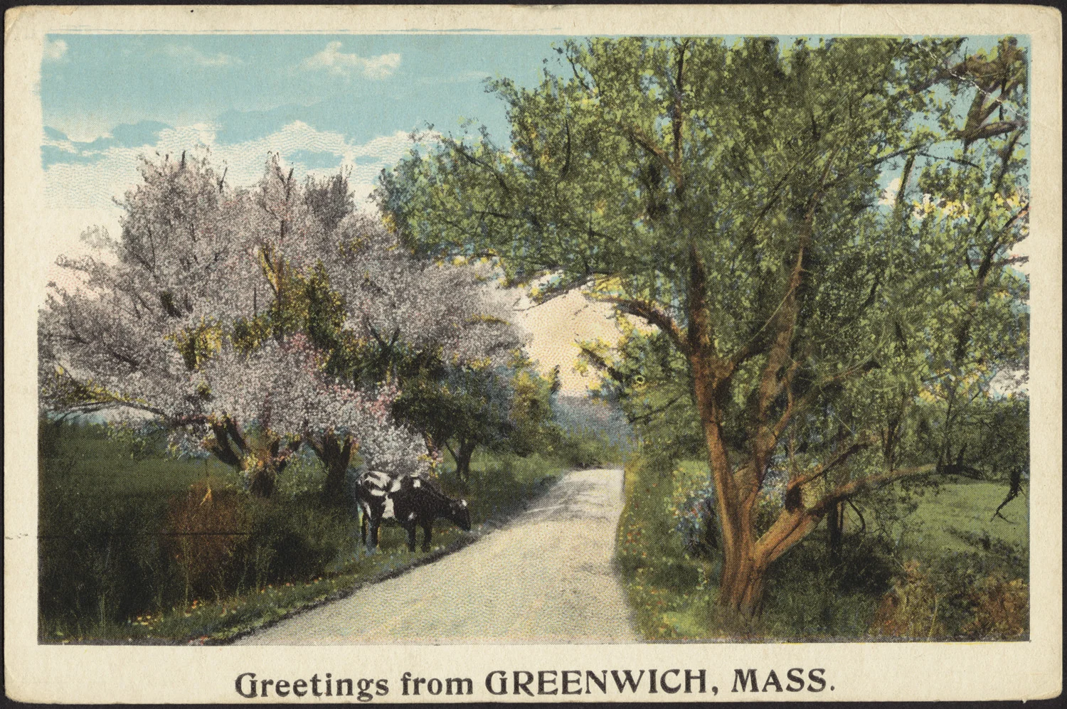 This postcard from the early 1900s depicts the bucolic community of Greenwich, Mass. – one of the four towns lost in the 1930s with the creation of the Quabbin Reservoir .