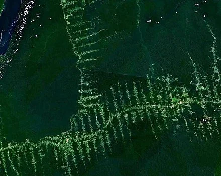 This aerial photo shows deforestation and road-building in the Amazon Rainforest , which threatens the biodiversity of the ecologically rich region, sometimes called “The World Lungs’’.