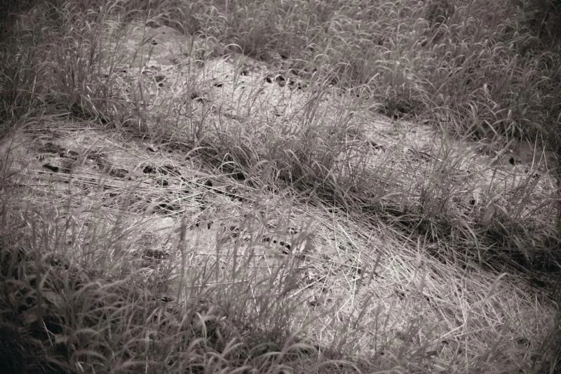 From Alan Metnick’s photo show “Silence and Stones,’’ at the Providence Art Club through May 9. This exhibition will share work created during the artist's many trips to Jewish cemeteries in Poland.