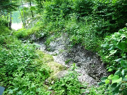The Whaleback Shell Midden, in Damariscott, Maine, contains the shells from oysters harvested for food dating from 2,200 to 1,000 years ago