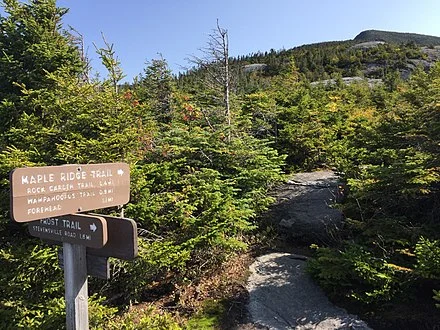On Vermont’s Mt. Mansfield