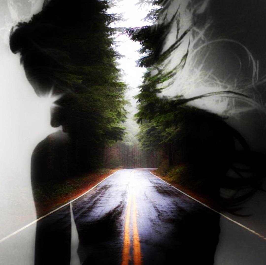 And into the forest I go, to lose my mind and find my soul. — John Muir Photo by Lydia Davison Whitcomb