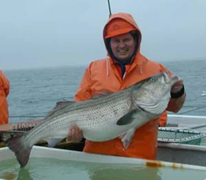 Researcher with a striped bass