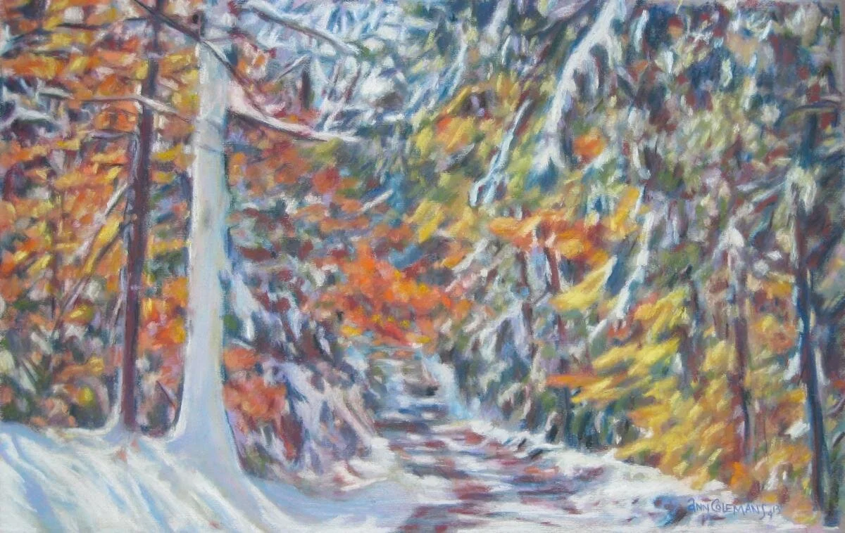 “First Snow II” (pastel), by Ann Coleman, in the Ann Coleman Gallery, Whitingham, Vt.