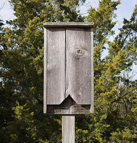 Bat house