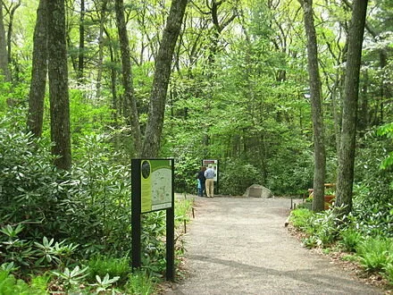 Garden in the Woods, overseen by the New England Wild Flower Society, features the largest landscaped collection of native wildflowers in New England. It is in Framingham’s Nobscot section, off Hemenway Road.