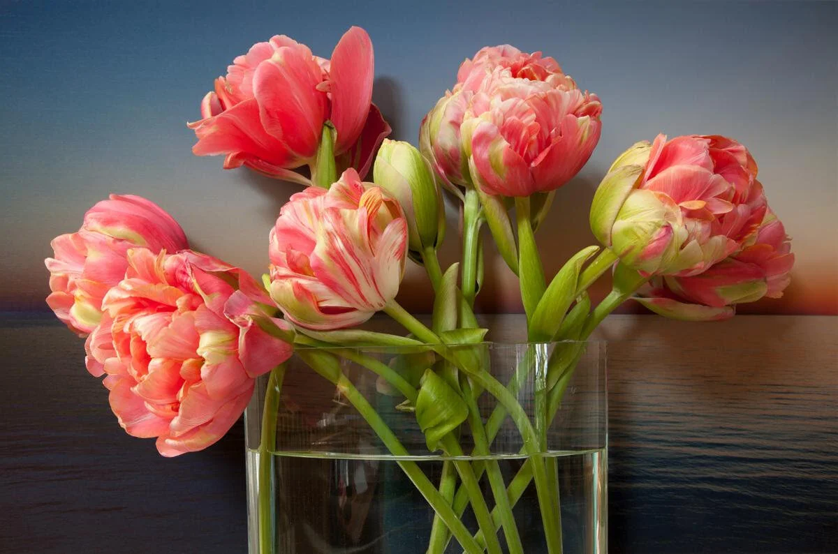 From Vaughn Sills’s show “Inside Outside,’’ at Kingston Gallery, Boston, Feb. 5-29. The gallery says “the group of photographs blend still life and landscape, “combining bouquets of flowers with landscapes that Sills creates of Prince Edward Island,…