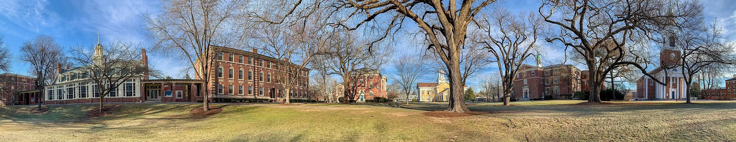 M. Gabriela Torres/Claire Buck/Cary Gouldin: At Wheaton College, making the sudden leap from in-person teaching to virtual