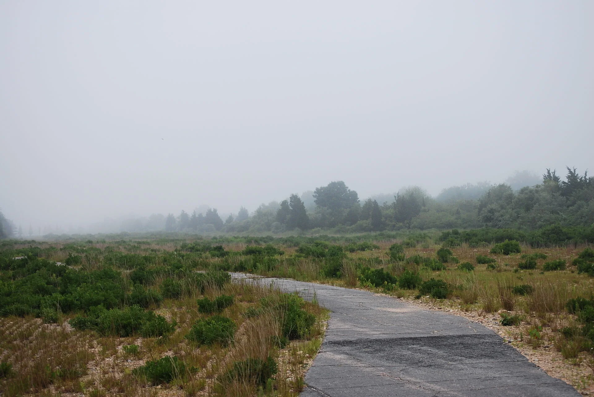 Ninigret Pond National Wildlife Refuge, in southern Rhode Island— Photo by Juliancolton