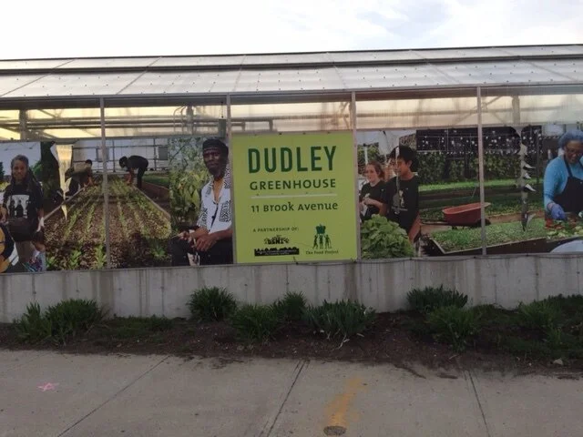 Community garden in Roxbury— Photo by Wilber Reyes01