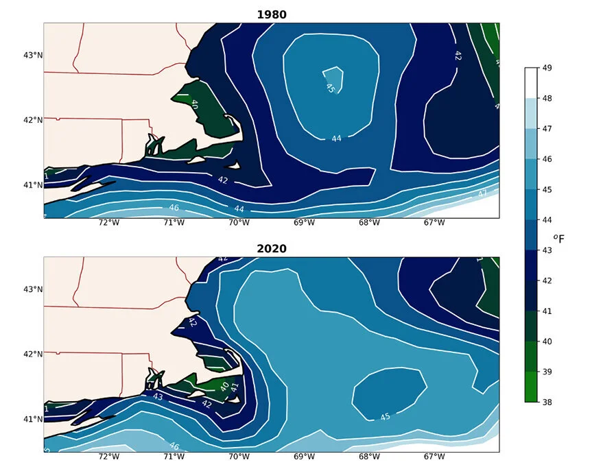 January sea surface temperatures off  southern New England have risen significantly since 1980.— Roger Warburton/ecoRI News