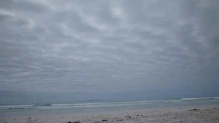 440px-Tortuga_Bay_-_Island_of_Santa_Cruz,_Galapagos.jpeg