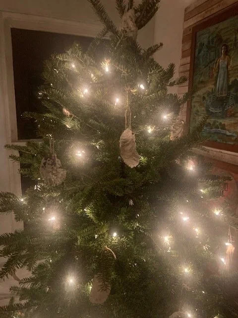 Tree decorated with bleached oysters in Barnstable, Mass., which has many oyster and clam beds