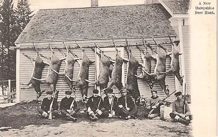 After a New Hampshire deer hunt in 1910