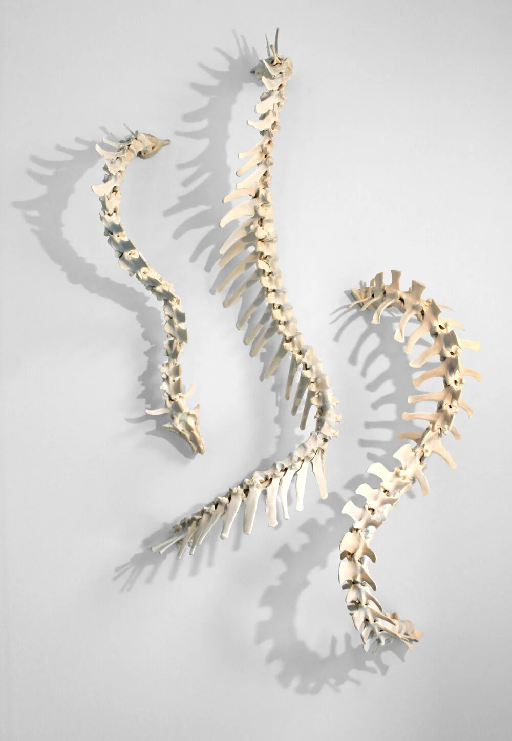 “Alterant Emanation Emergence,’’ by southern Connecticut-based Miller Opie, in her show through Jan. 31 at Fountain Street Fine Art, BostonShe says“My work is directly related to 3+ years of surgeries {on her  jawbone} I had several years ago. But i…