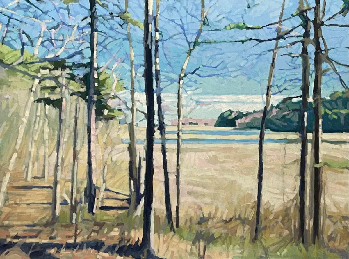 “Lookout” (acrylic on canvas), by Liz Hoag at Edgewater Gallery, Middlebury, Vt.The gallery says:“Hoag  [based in Westbrook, Maine} is inspired by her walks in the Maine woods and is known for her abstracted tree-filled landscapes that give the viewer a glimpse of the hidden vignettes that exist in the forest but are often overlooked. She begins her compositions with dark canvas and builds light tones on top of the dark creating the positive space in the composition. The result is a painting that conveys the beauty of light filtering through trees and the serenity one feels on a walk in the woods.’’