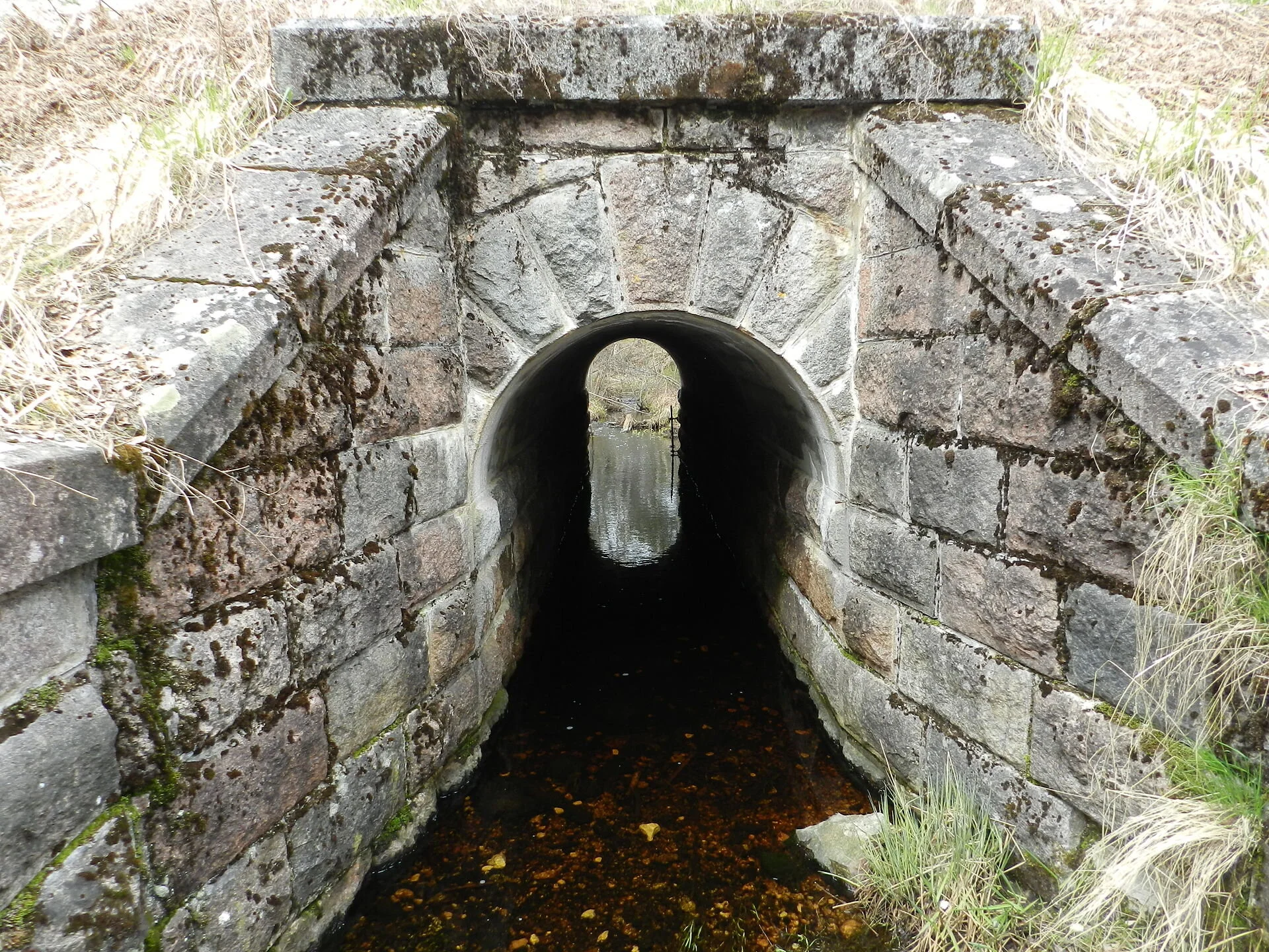 'Immortal force no longer needed'