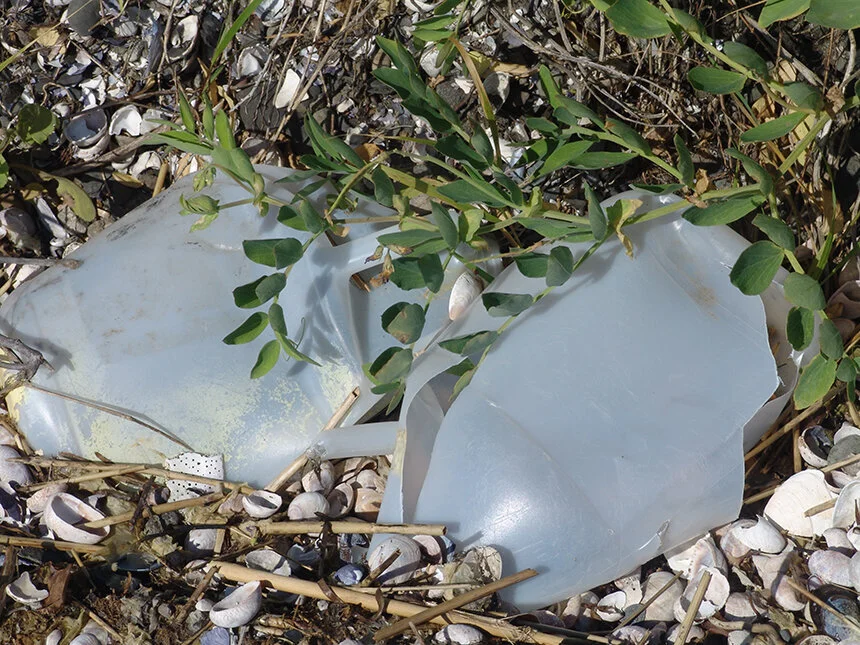 Rhode Island beach scene—Photo by Frank Carini