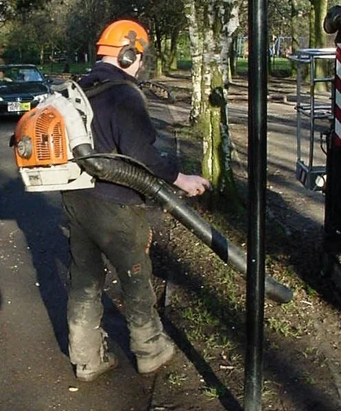 Aa_backpackleafblower.jpeg