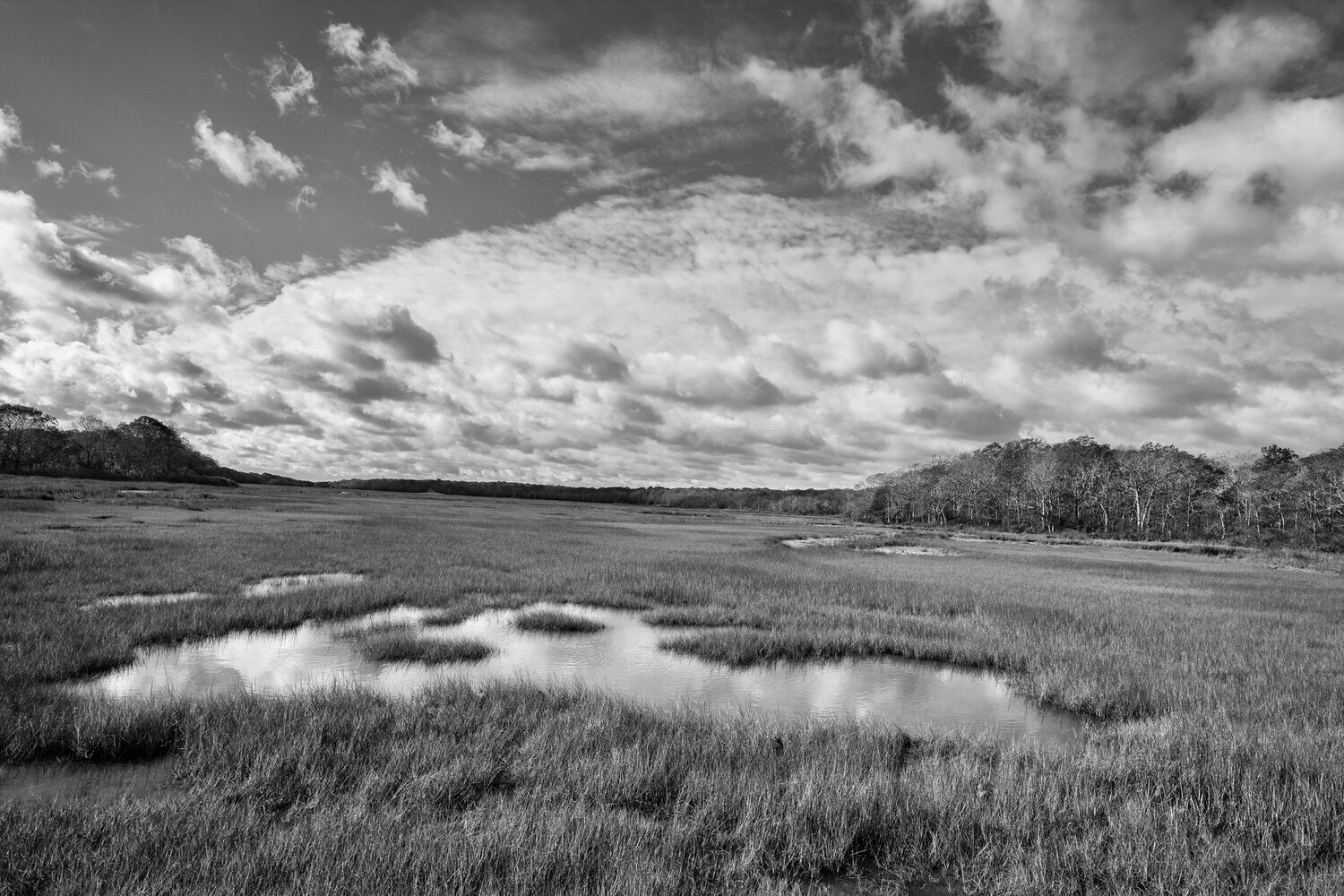 ‘This piece of paradise’