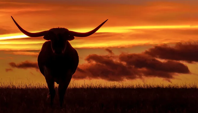 Chris Powell: Appeal on abortion won’t lure Texas firms to Conn.