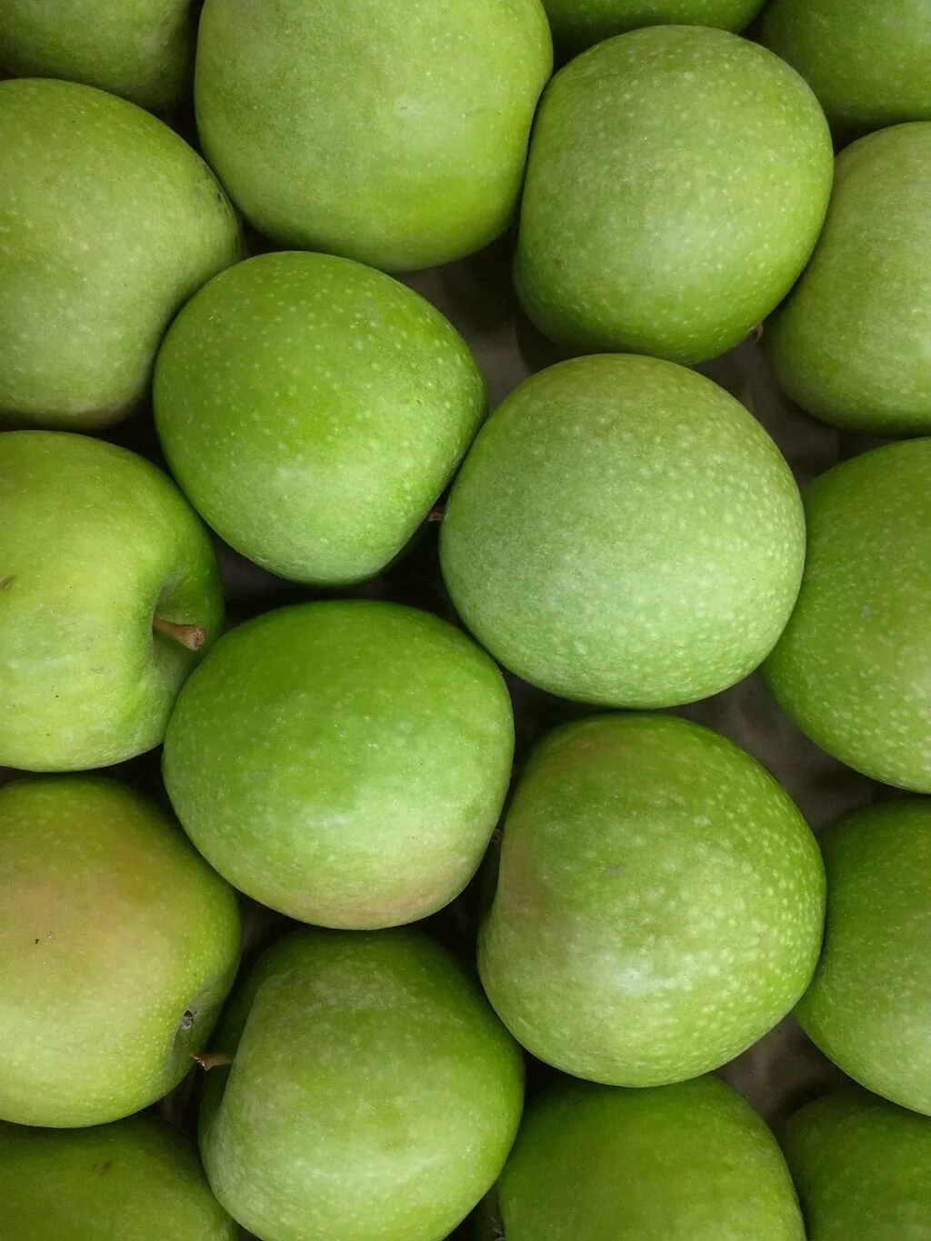 Granny Smith apples are unusual in being green when ripe. — Photo by Assianir&nbsp;