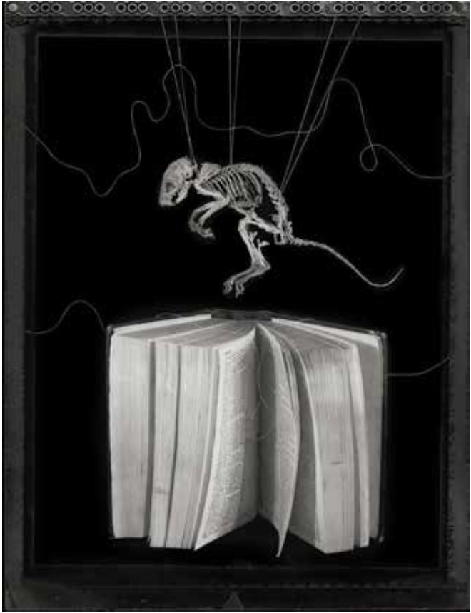 ‘Mystery of life and death’