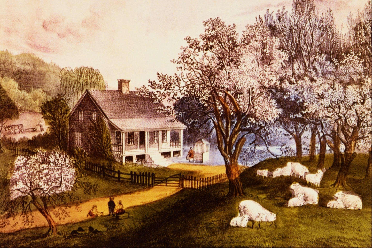 ‘A spider at his trade again’