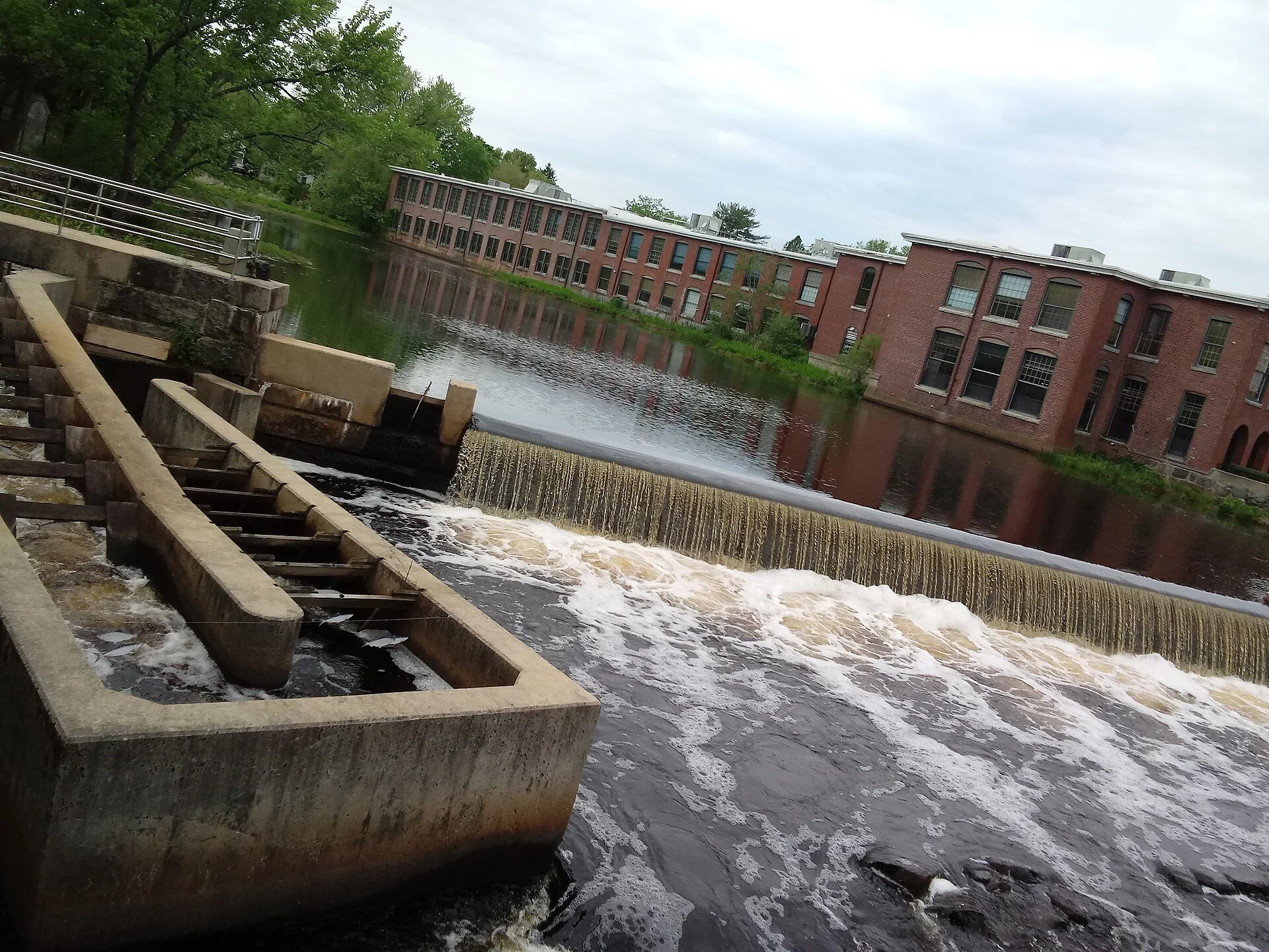 Liberate the fish? Keeping the pond less than ‘great’