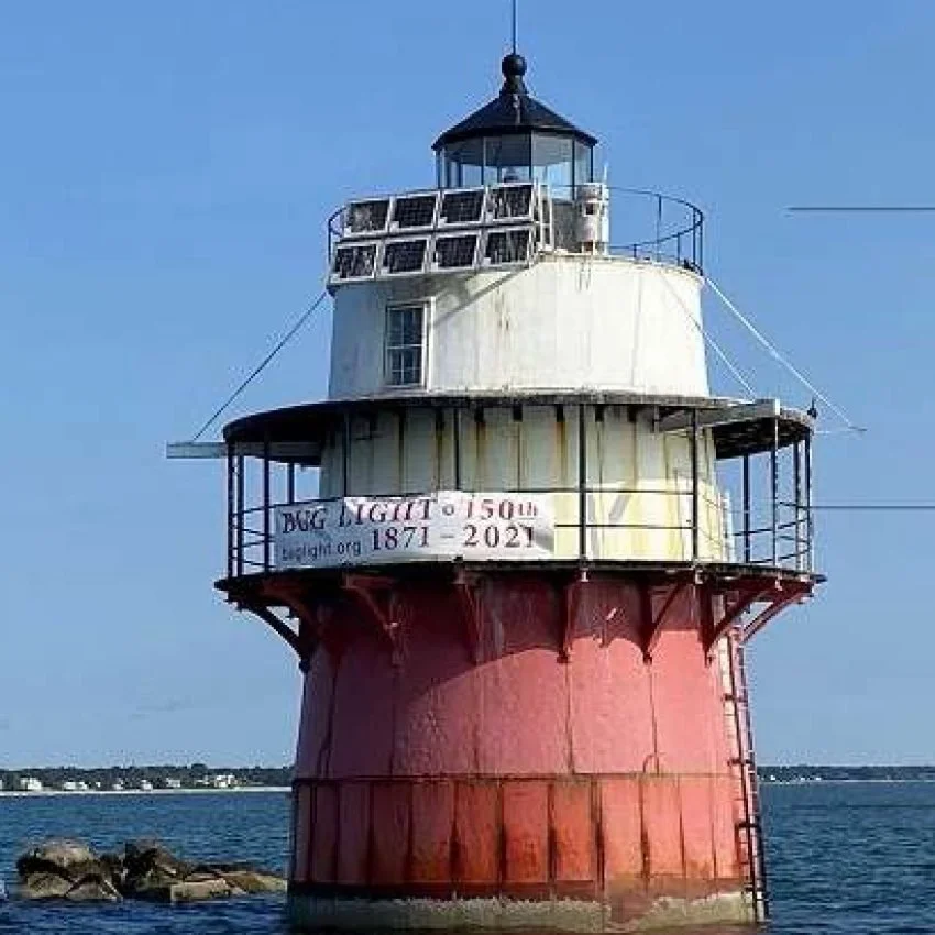 Bug-Light-Joes--e1750171973501-850x850.jpg