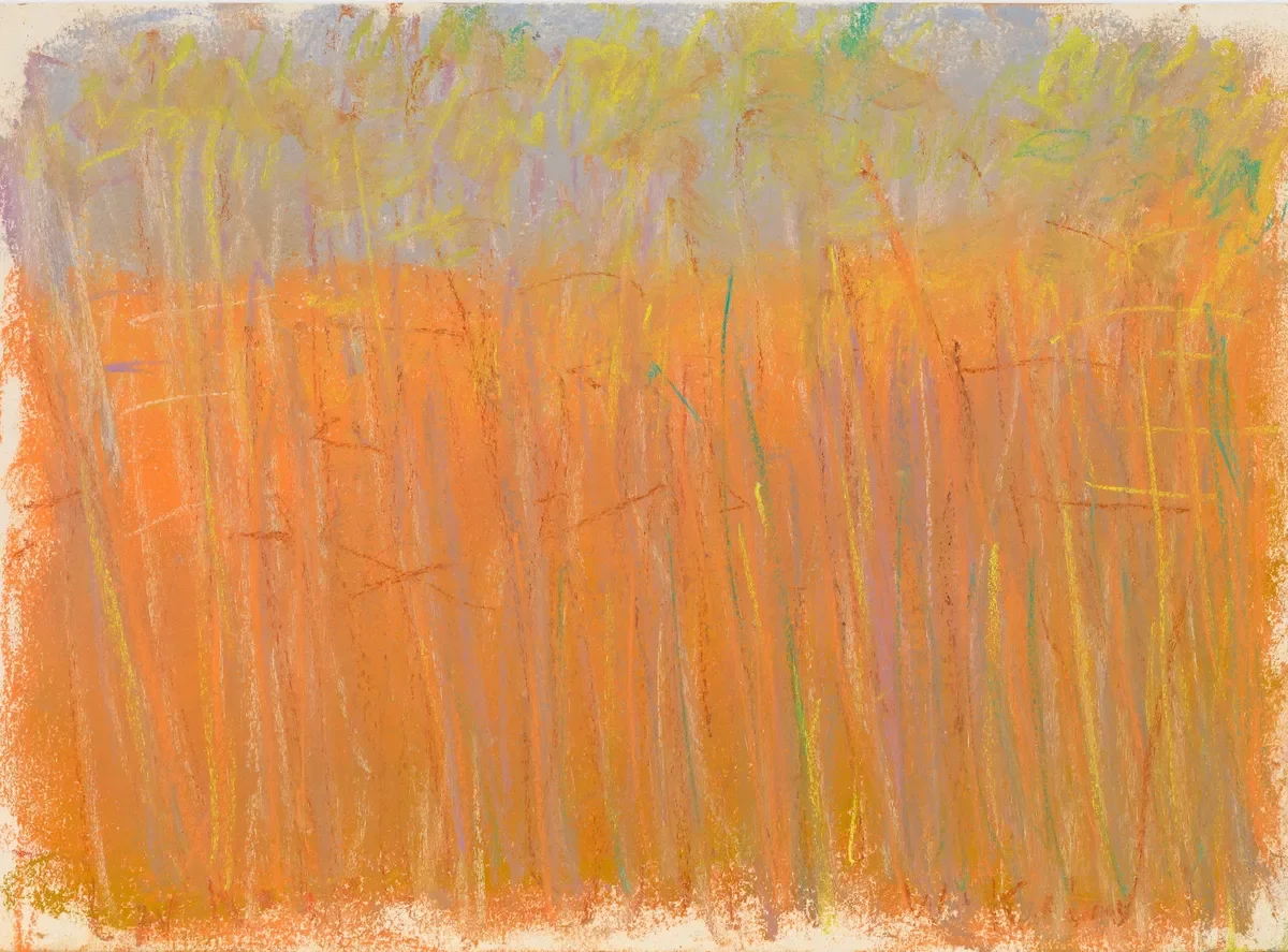 trees.webp