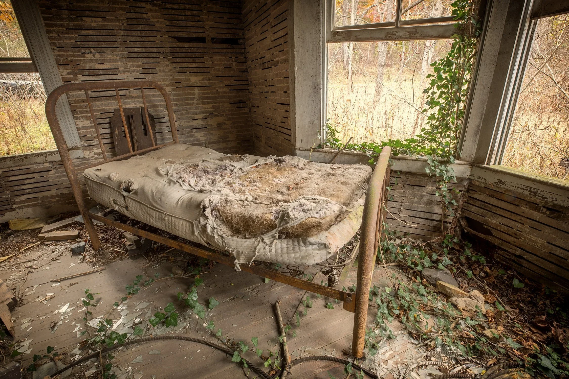 Skinner_NaturesResting.webp