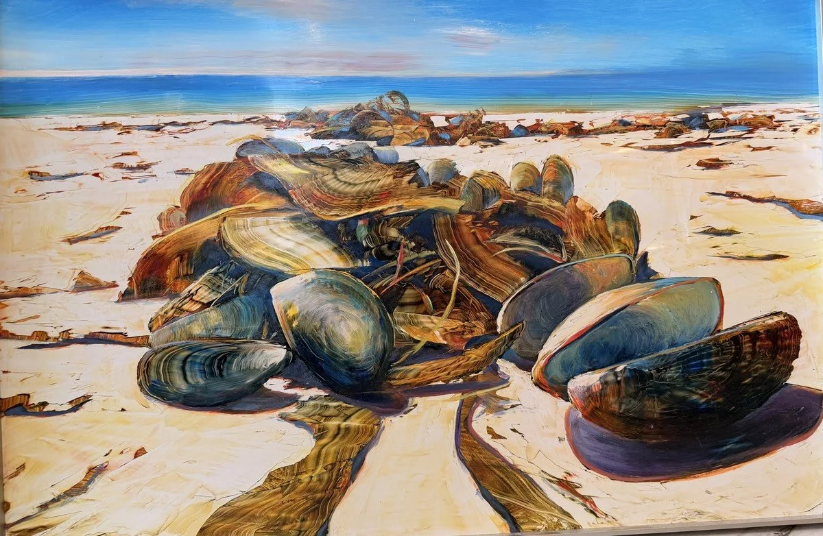 shells.jpg